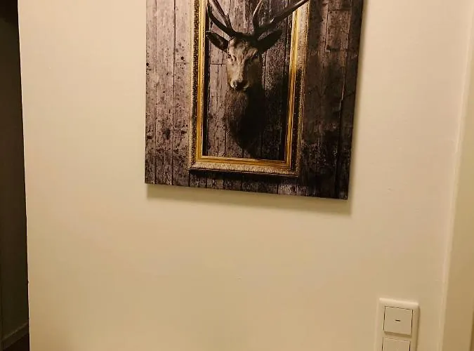 Neues, Ruhiges Nordic In Duesseldorf-nord 아파트 뒤셀도르프